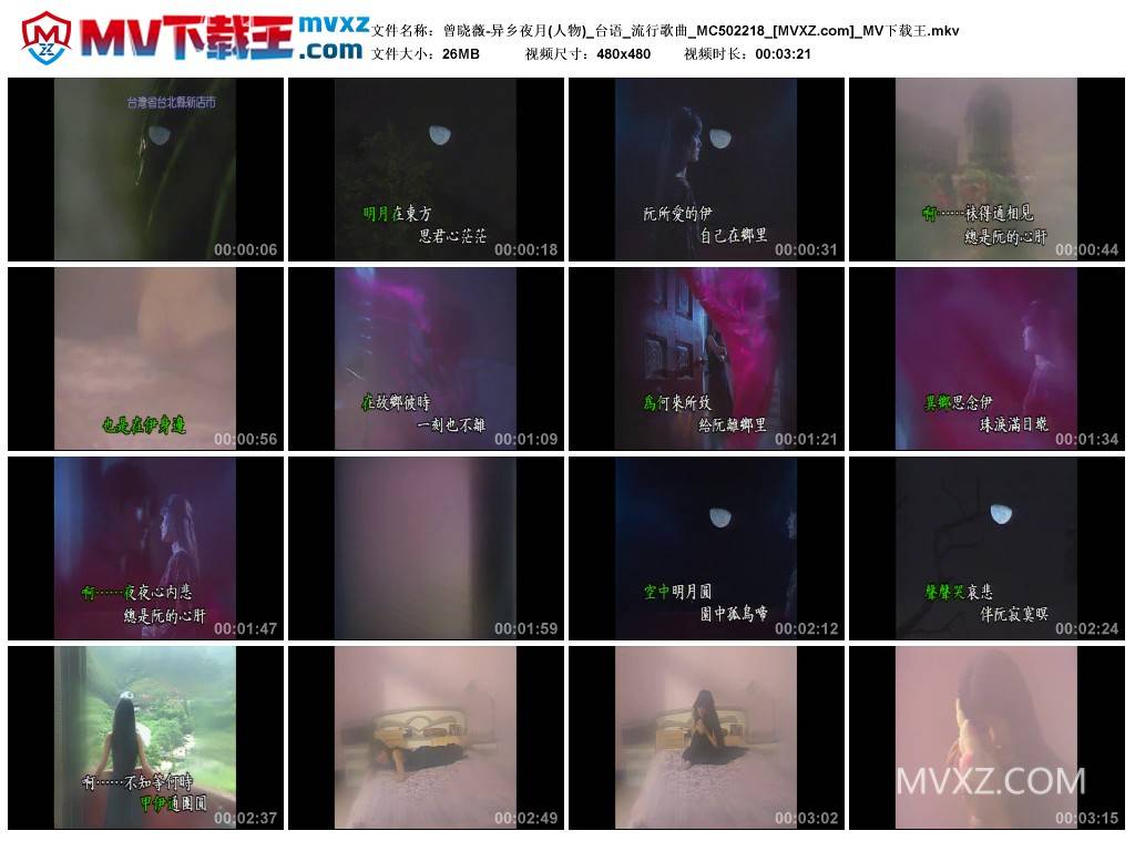 曾晓薇-异乡夜月(人物)_台语_流行歌曲_MC502218